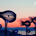 De Paris 5*